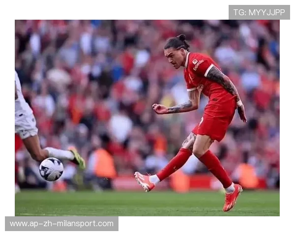 利物浦若尽快解决后防,复兴可期 利物浦若尽快解决后防,复兴可期